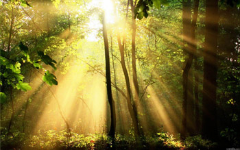 Бунтует плоть