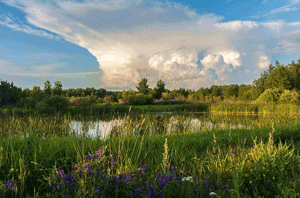 «Ещё кукушка не кукует»