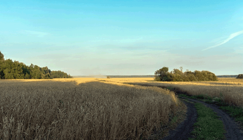 «Хочу домой…»