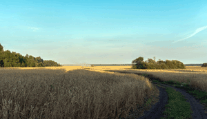 Хочу домой...