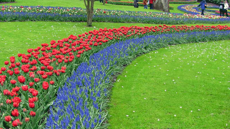 «Клубятся сны...»