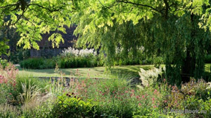 «Когда­-нибудь я вспомню этот миг...»