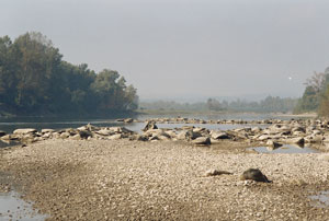 «Не хочу угасать...»