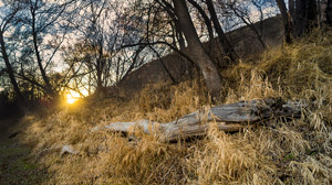 &laquo;Повторила чужую ненужную фразу...&raquo;