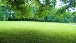 «Прости меня, Боже, опять виновата...»