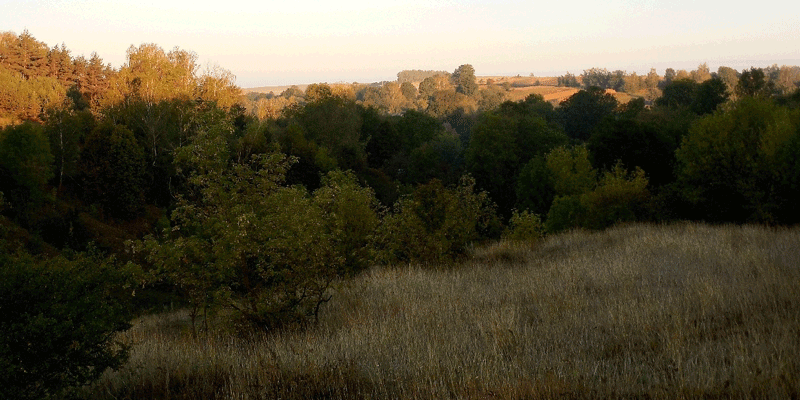 «Страдания земные...»
