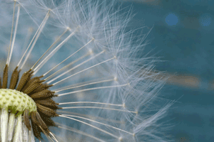 «Уже не думаю о том...»