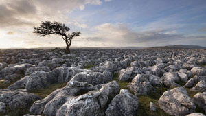 &laquo;Живу, осознанно греша?..&raquo;